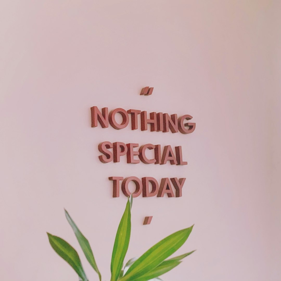 Reddish-brown letters spell 'NOTHING SPECIAL TODAY' on a pale pink wall.